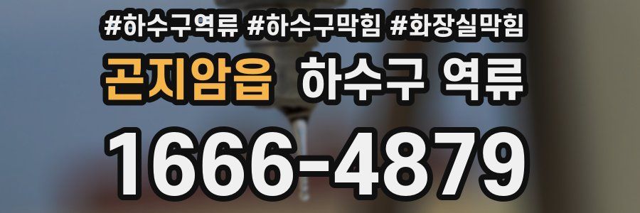 곤지암읍 하수구 역류