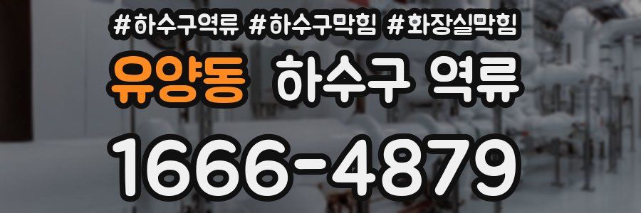 유양동 하수구 역류
