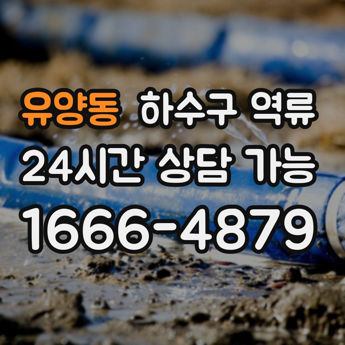 유양동 하수구 역류