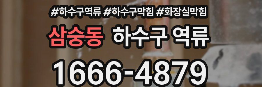 삼숭동 하수구 역류