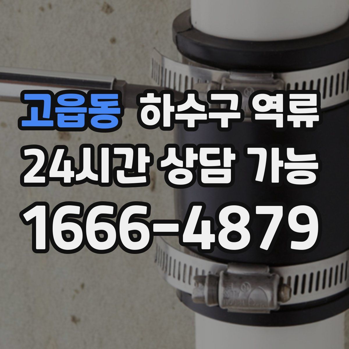 고읍동 하수구 역류