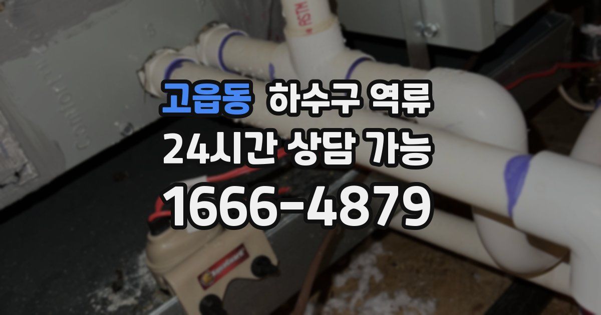 고읍동 하수구 역류