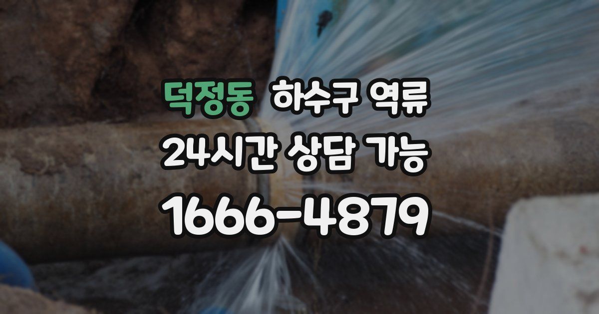 덕정동 하수구 역류