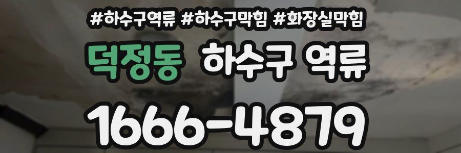 덕정동 하수구 역류