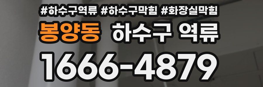 봉양동 하수구 역류