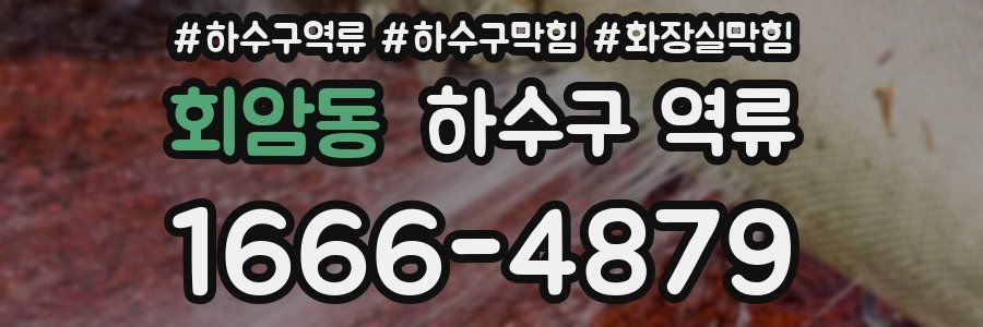 회암동 하수구 역류