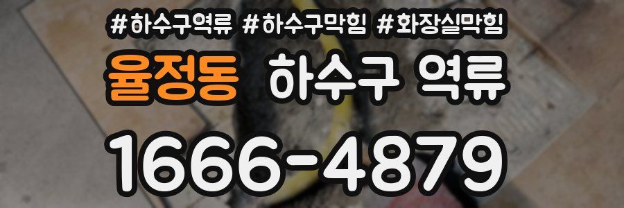 율정동 하수구 역류