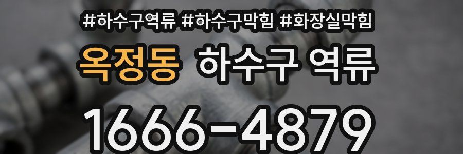 옥정동 하수구 역류