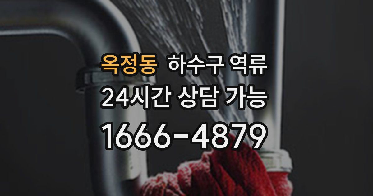 옥정동 하수구 역류