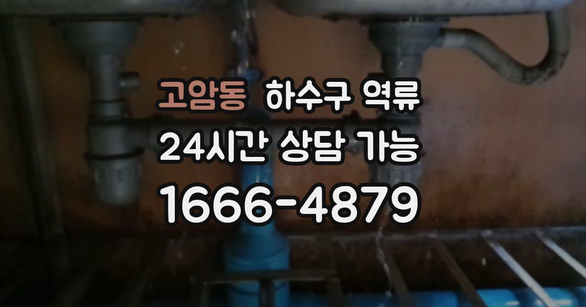 고암동 하수구 역류