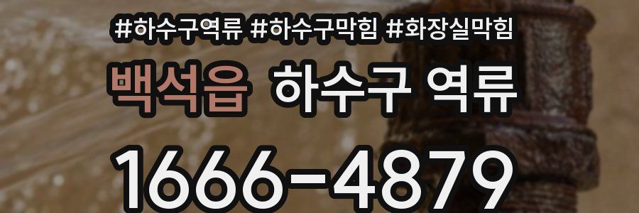 백석읍 하수구 역류