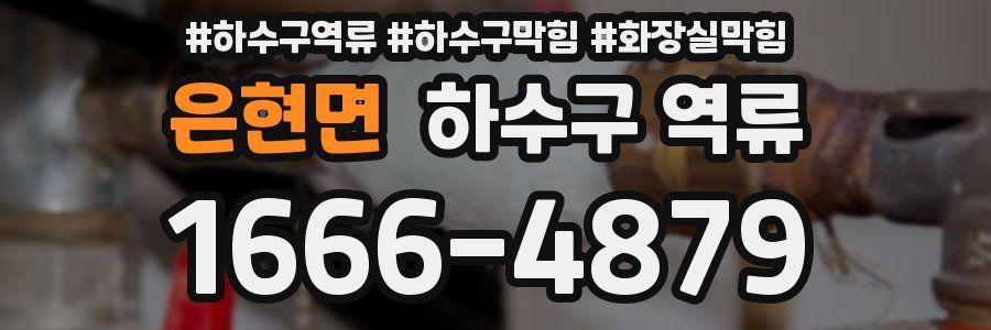 은현면 하수구 역류