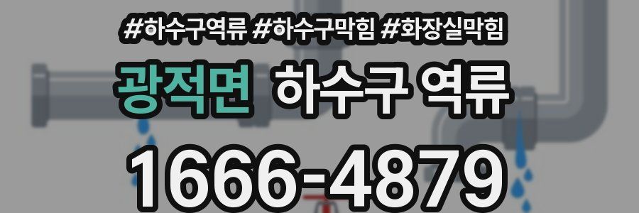 광적면 하수구 역류