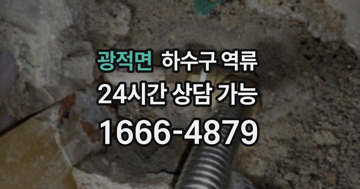 광적면 하수구 역류