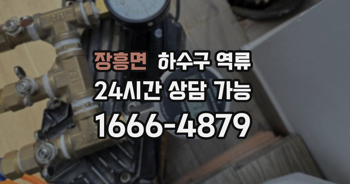 장흥면 하수구 역류