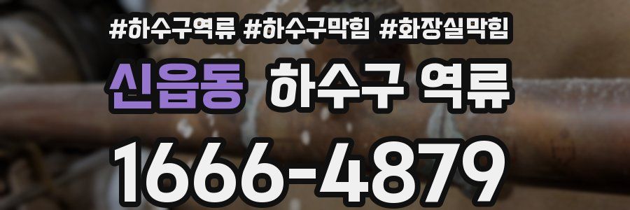 신읍동 하수구 역류