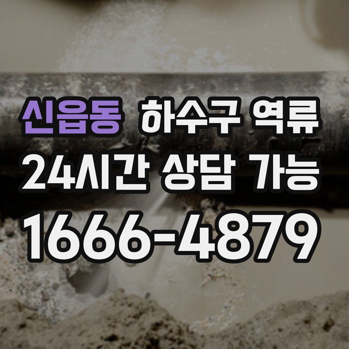 신읍동 하수구 역류