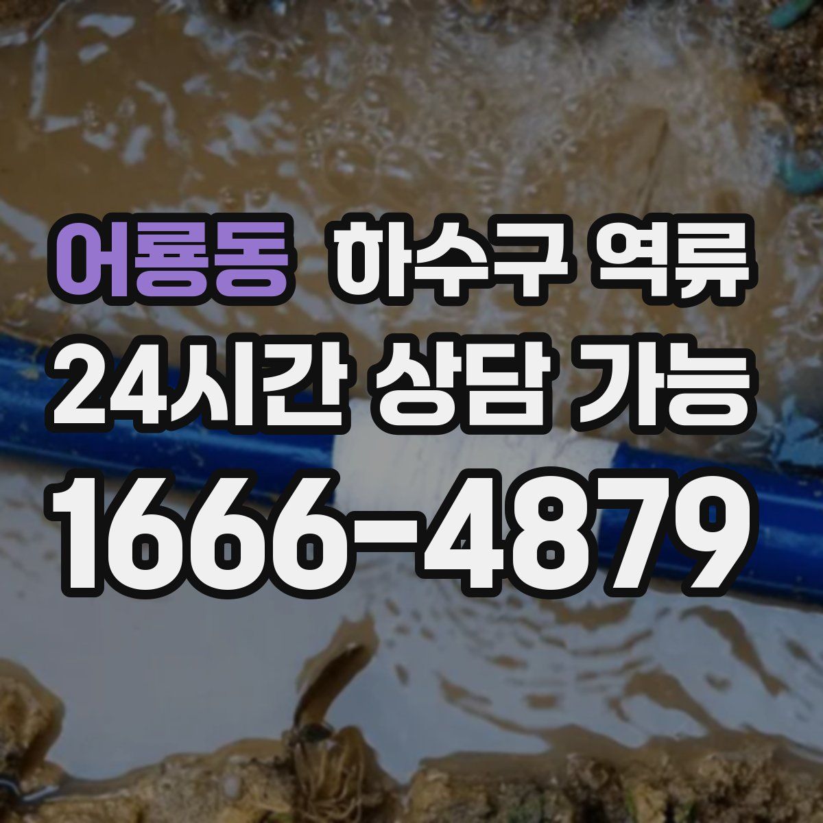 어룡동 하수구 역류