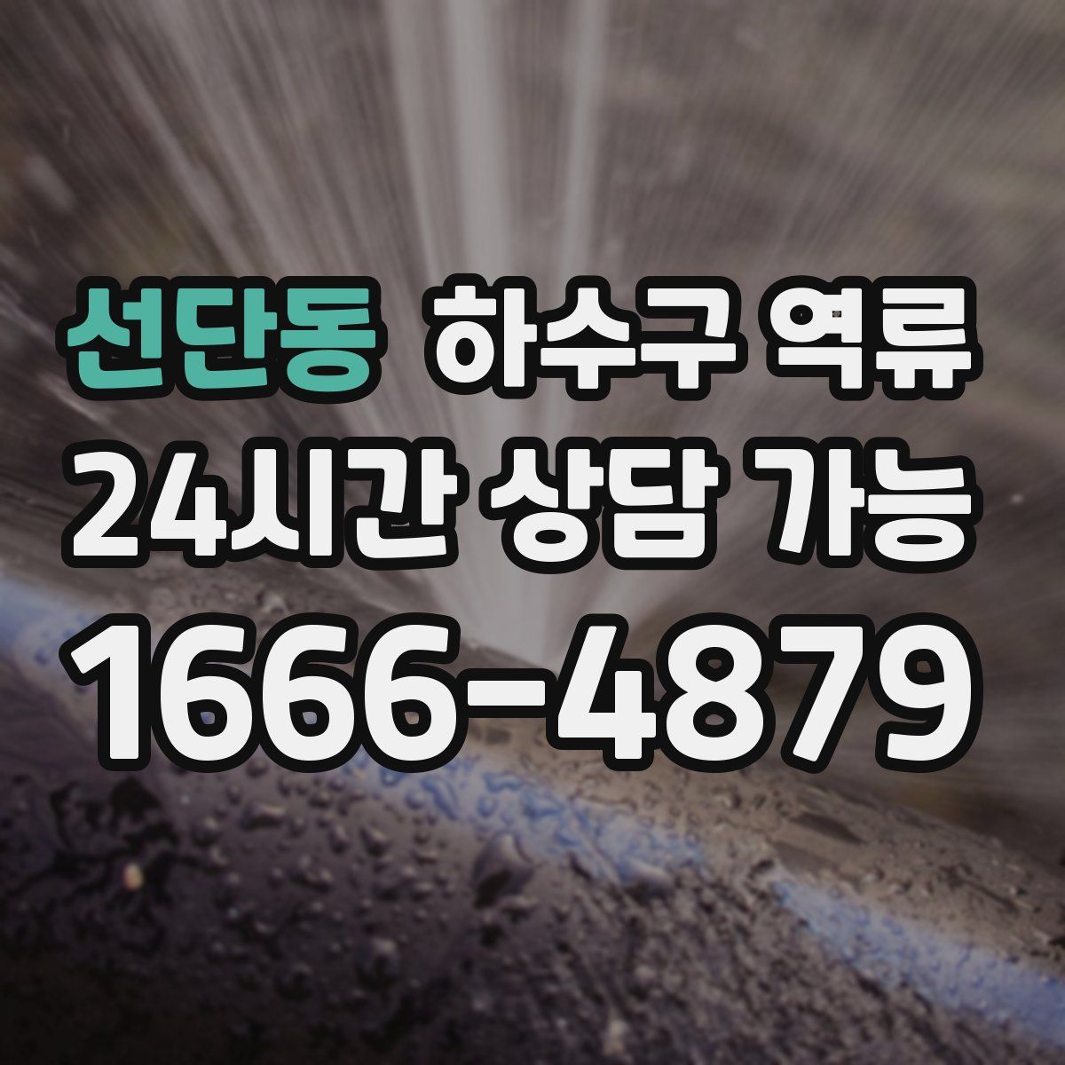 선단동 하수구 역류