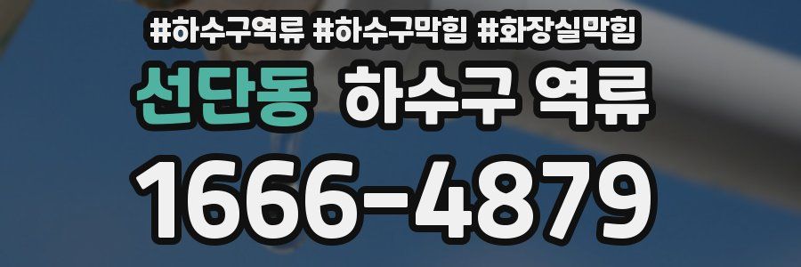 선단동 하수구 역류