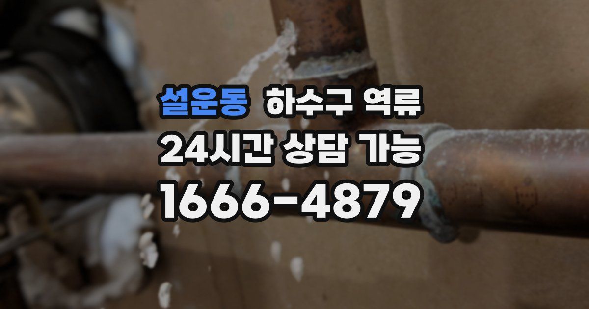 설운동 하수구 역류