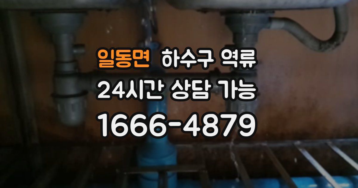 일동면 하수구 역류