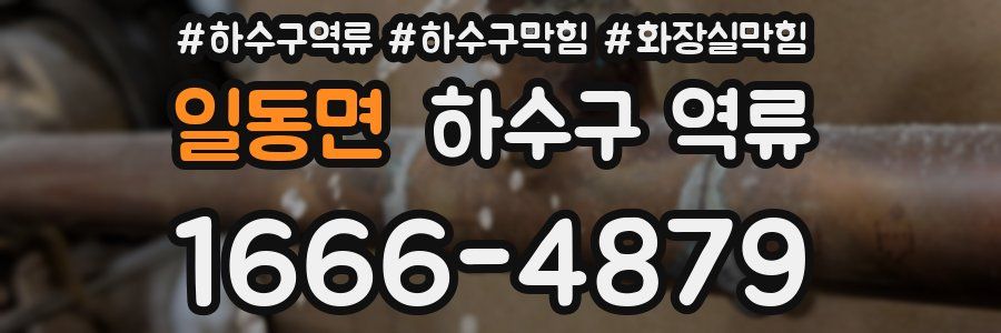 일동면 하수구 역류