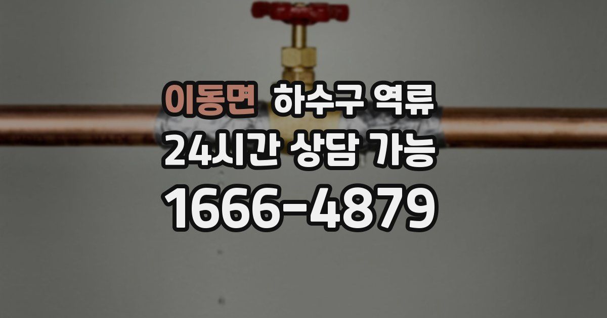 이동면 하수구 역류