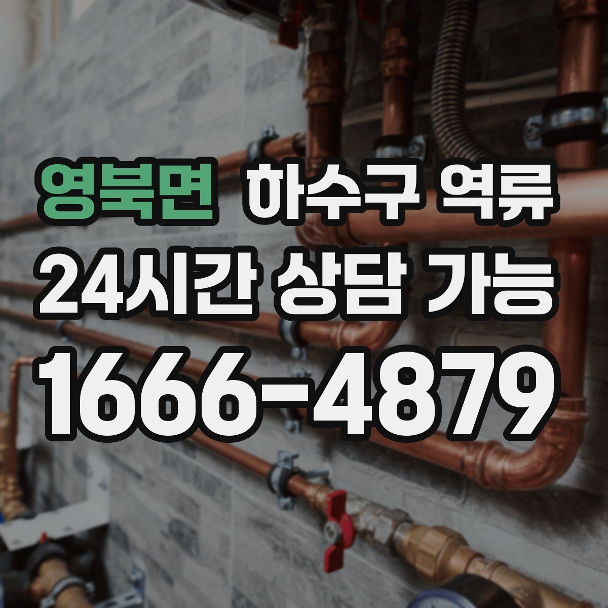 영북면 하수구 역류