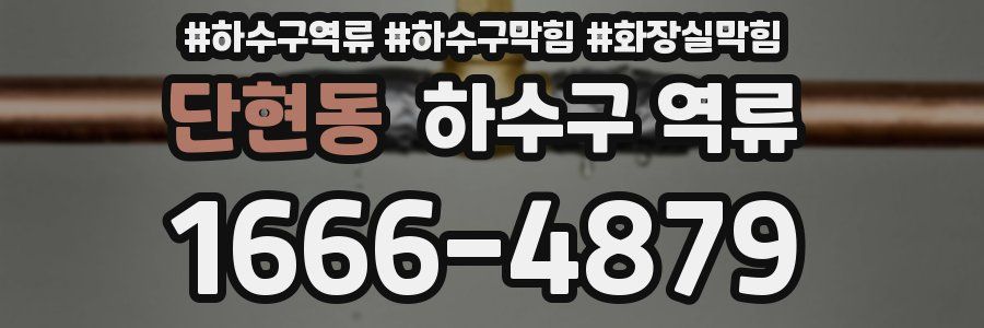 단현동 하수구 역류