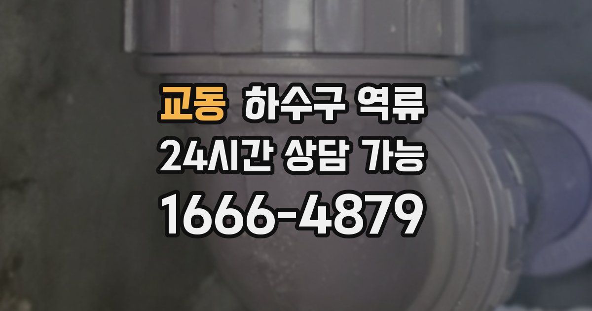 교동 하수구 역류