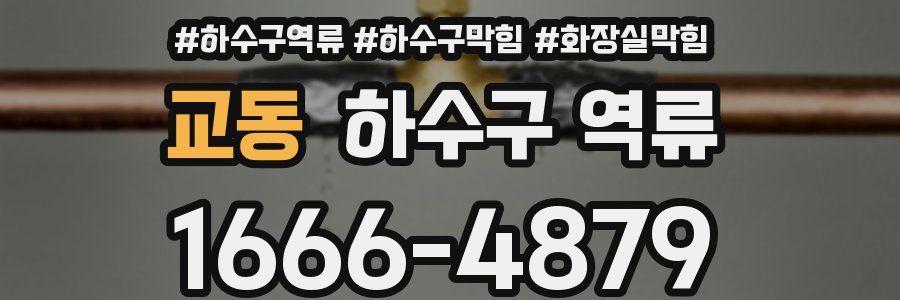 교동 하수구 역류