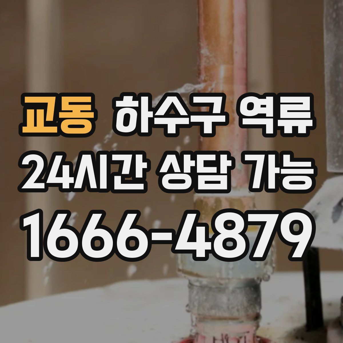 교동 하수구 역류