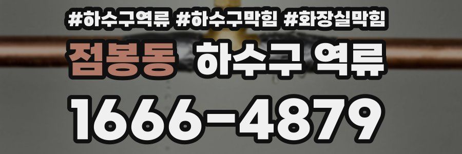 점봉동 하수구 역류