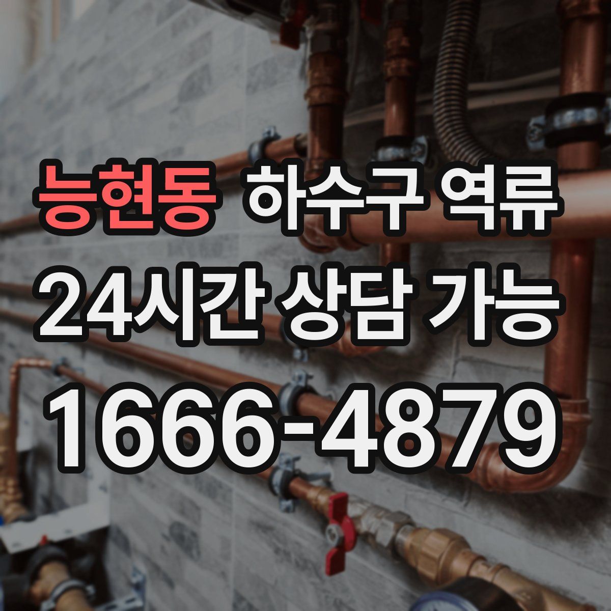 능현동 하수구 역류