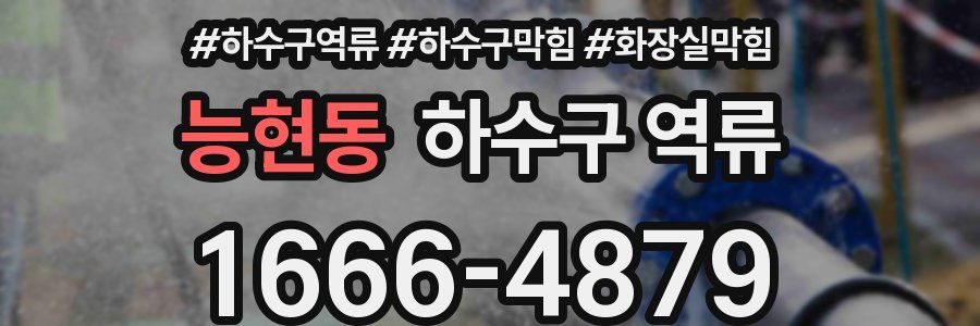 능현동 하수구 역류