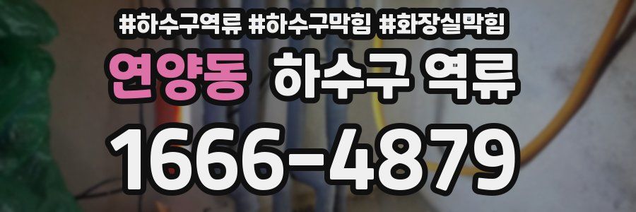 연양동 하수구 역류