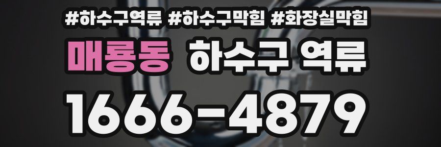 매룡동 하수구 역류