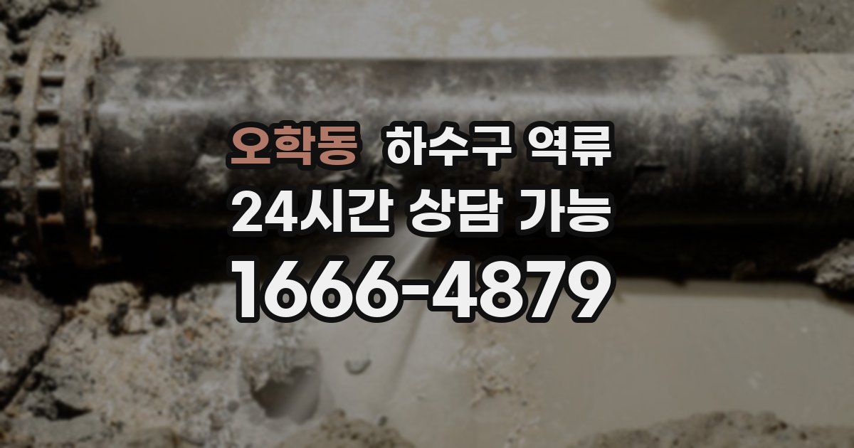 오학동 하수구 역류