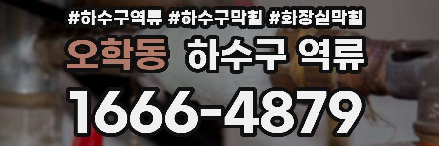 오학동 하수구 역류