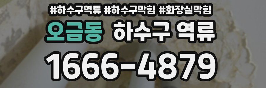 오금동 하수구 역류