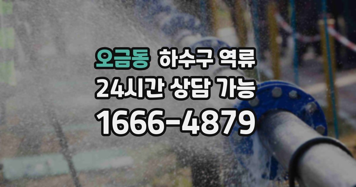 오금동 하수구 역류