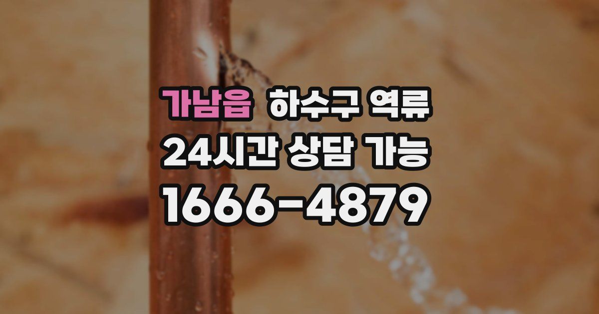 가남읍 하수구 역류