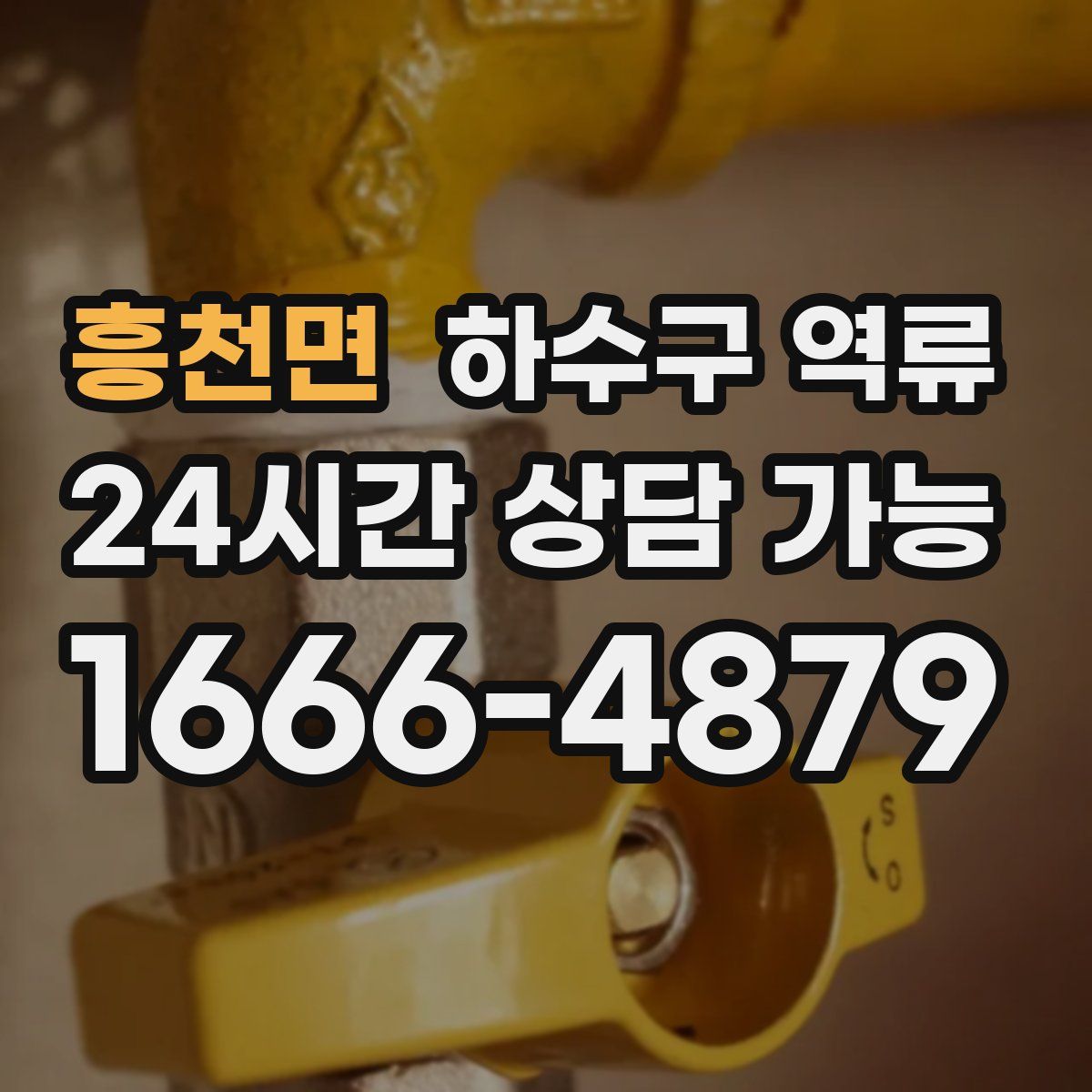 흥천면 하수구 역류