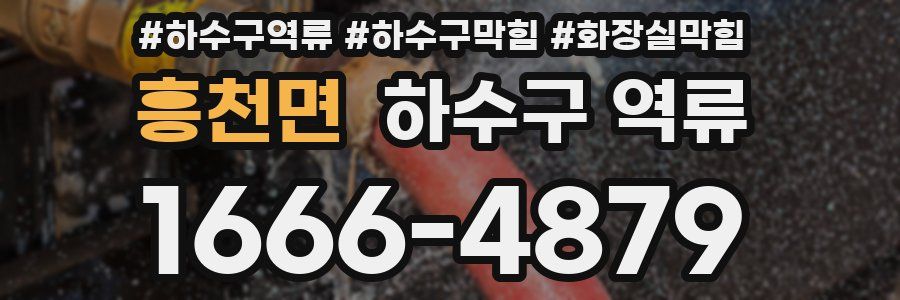 흥천면 하수구 역류