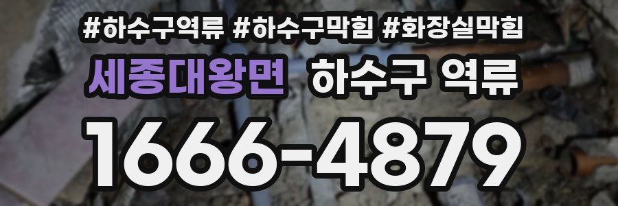 세종대왕면 하수구 역류