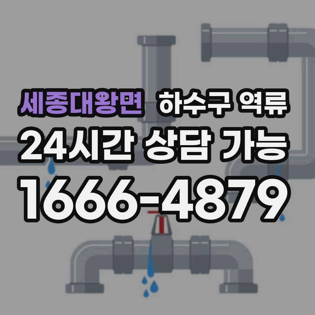 세종대왕면 하수구 역류