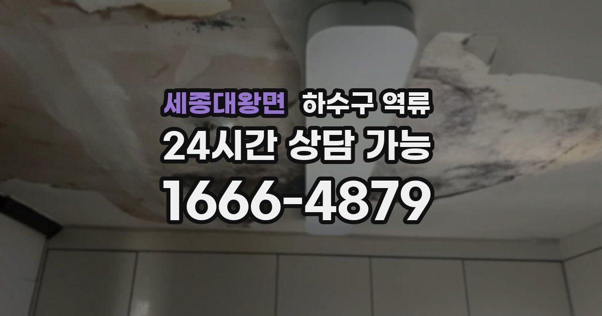 세종대왕면 하수구 역류