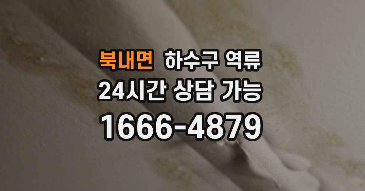 북내면 하수구 역류