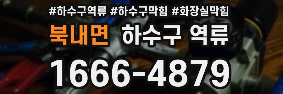 북내면 하수구 역류